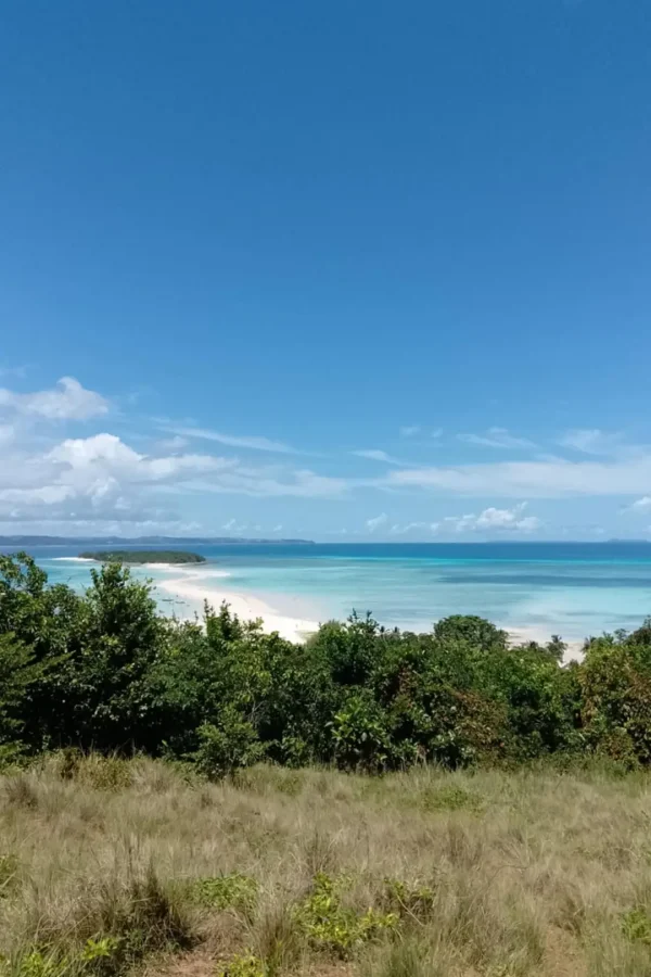 33cf97a6-d998-4d7b-85bf-a08ade4adec2